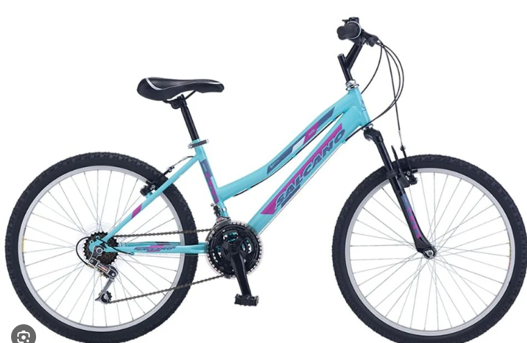 SALCANO EXCELL LADY 24 JANT TURKUAZ-MOR BİSİKLET