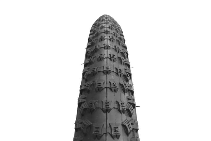 RAPTOR - Dış Lastik - 29 x 2.10 (2951) Siyah