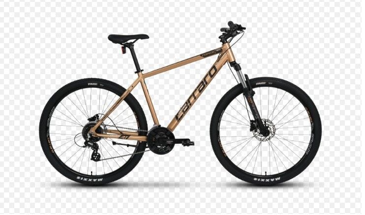 CARRARO FORCE 650 26 JANT 43cm KADRO BRONZ-SİYAH-BEYAZ BİSİKLET