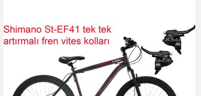 SALCANO LION V-FREN 26 JANT 18cm KADRO SİYAH-YEŞİL BİSİKLET