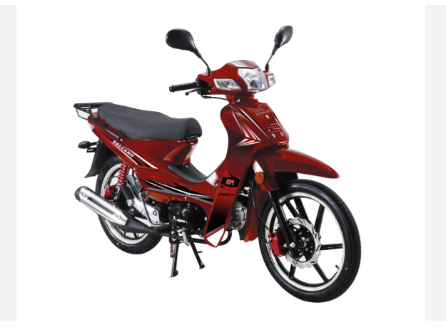 SALCANO SPIDER 125cc CUP MOTORSİKLET