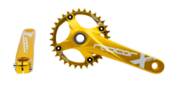 RAPTOR - Aynakol - A28Z-AS322 - 32T 170mm - Gold